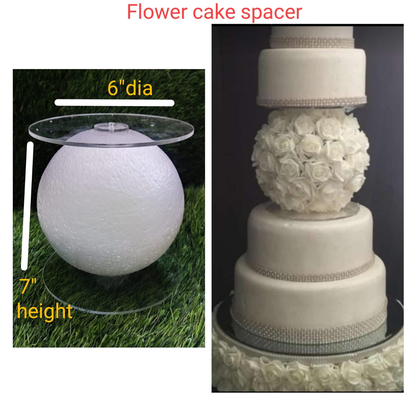 WhatsApp Image 2026-01-30 at 8.01.40 PM