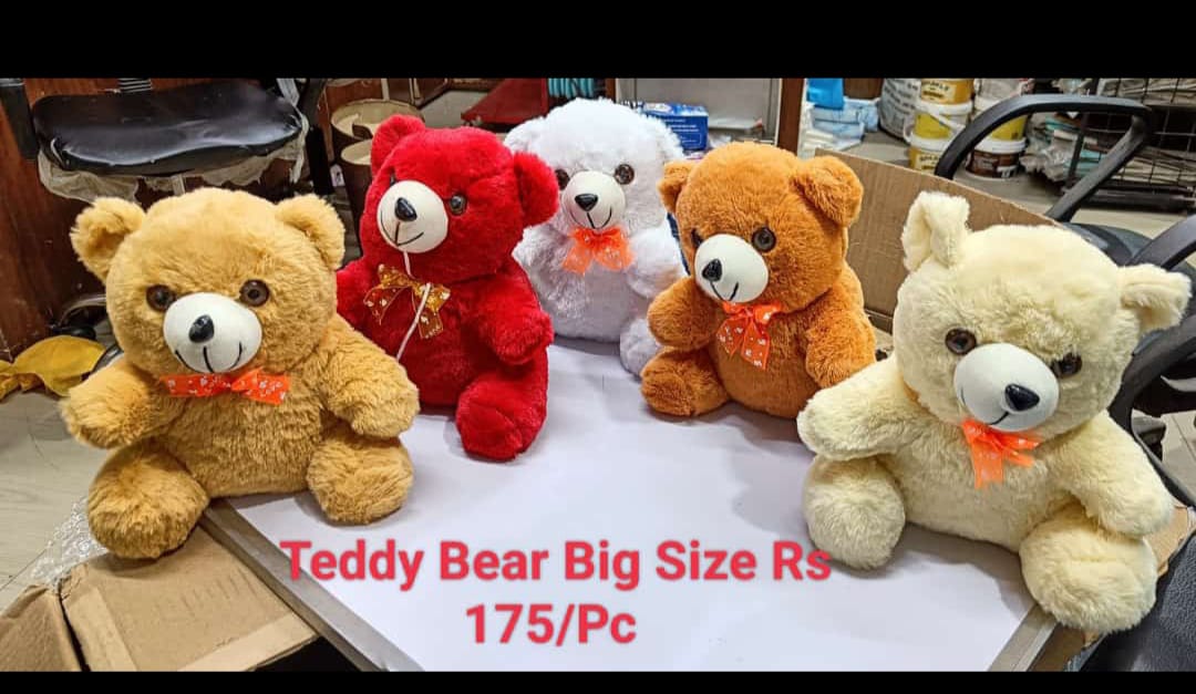 WhatsApp Image 2026-01-31 at 10.39.57 AM